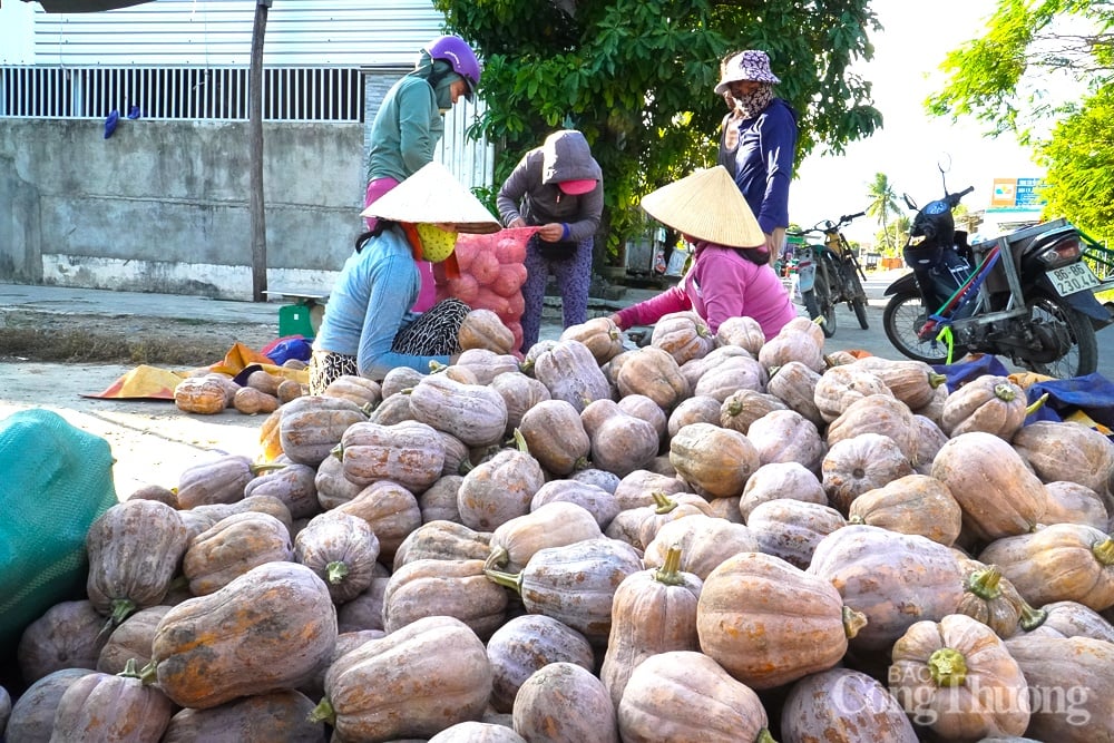 Khanh Hoa: Cómo mejorar la eficiencia en la conexión y el consumo de productos agrícolas