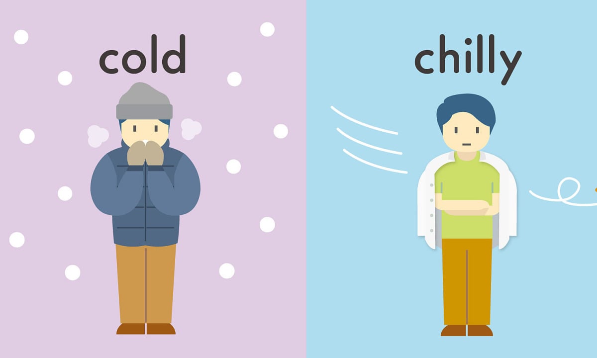 How to say 'chilled to the bone' in English