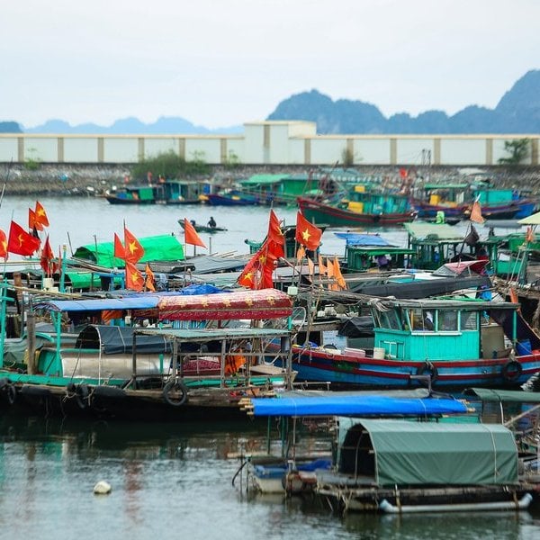 Quyết liệt triển khai các giải pháp trọng tâm chống khai thác IUU