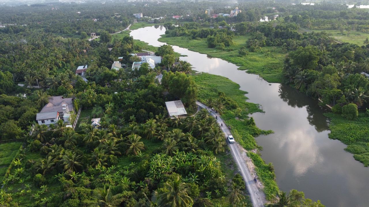 Vùng đất này trồng được rất nhiều loại trái cây ngon: Mít, dừa,
