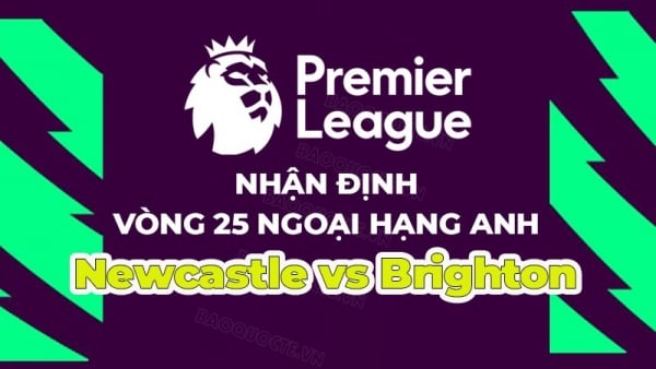 Nhận định, soi kèo Newcastle vs Brighton, 01h30 ngày 19/5