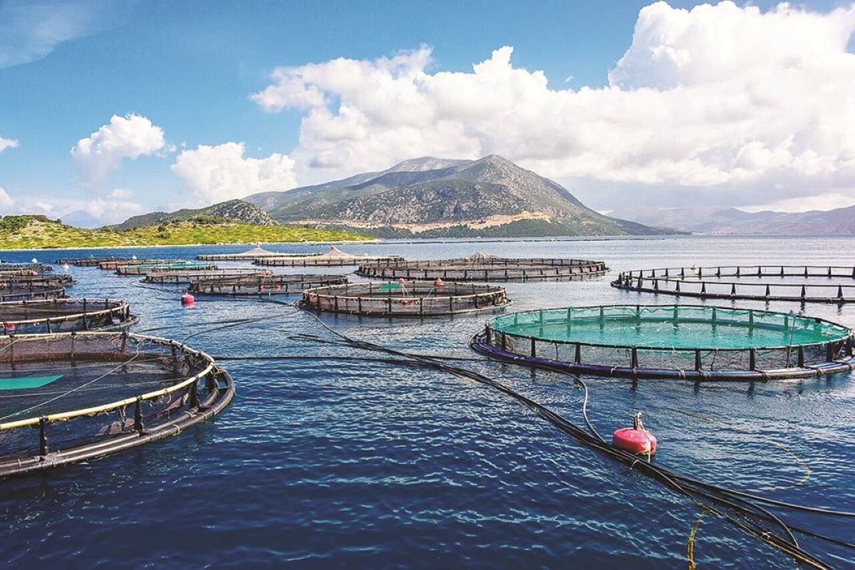 Développement durable de l'aquaculture marine - éviter les conflits avec d'autres secteurs économiques