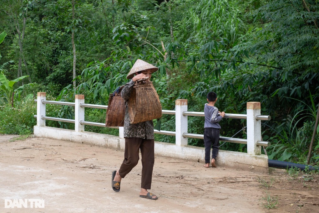 Những chiếc xe chở lúa băng băng qua cây cầu Dân trí ở nơi thôn nghèo - 8