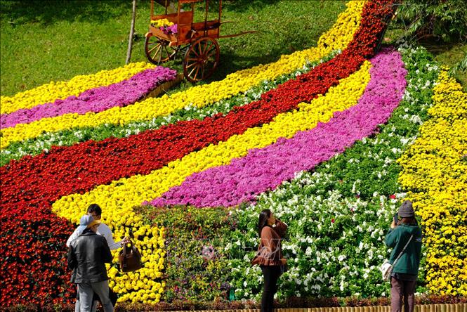 ダラットは2024年の花祭りを前に輝いている