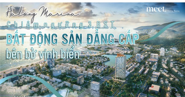 Chiêm ngưỡng 3 bộ sưu tập bất động sản đẳng cấp bên bờ vịnh biển