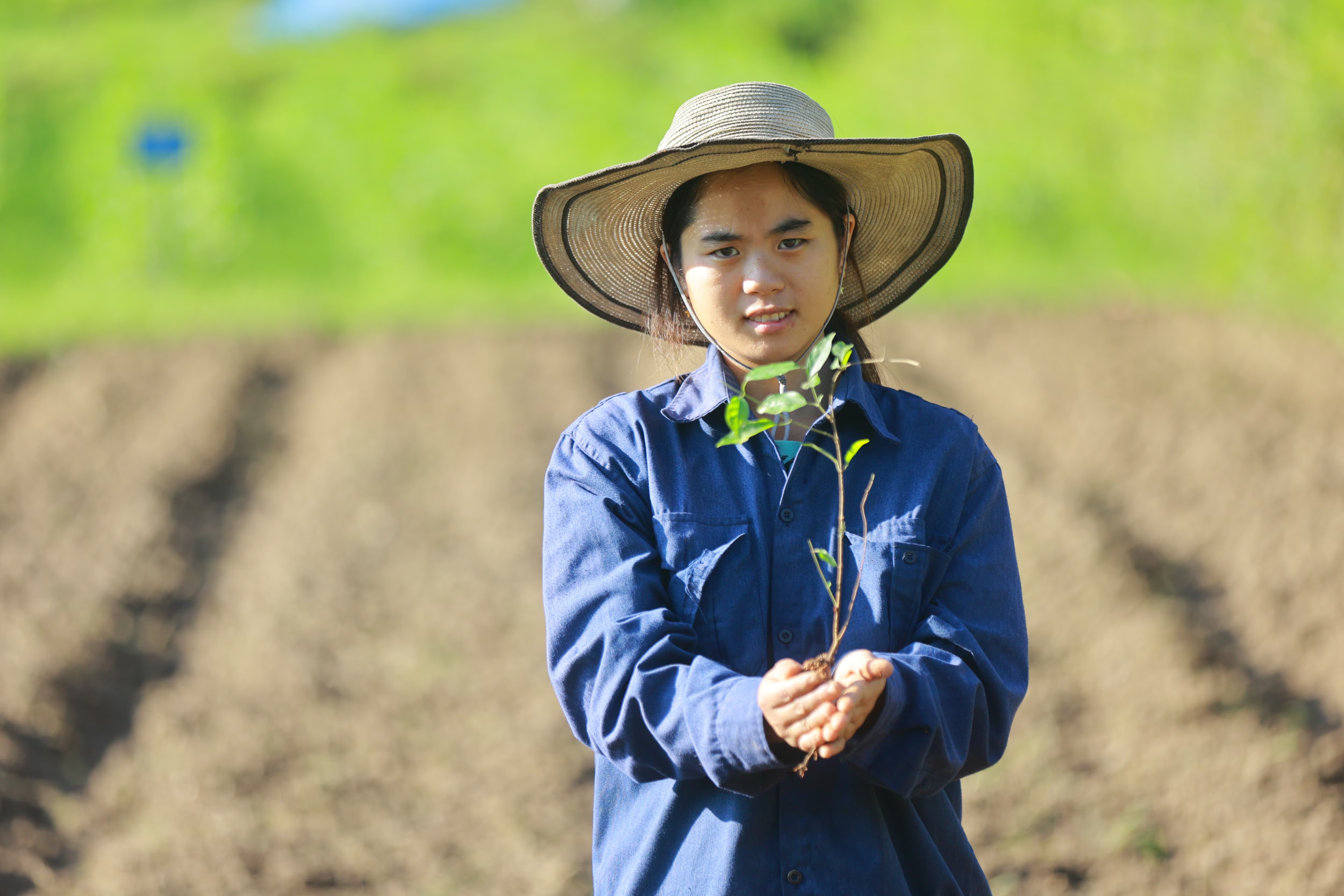 Những người bảo tồn khó báu dược liệu quý