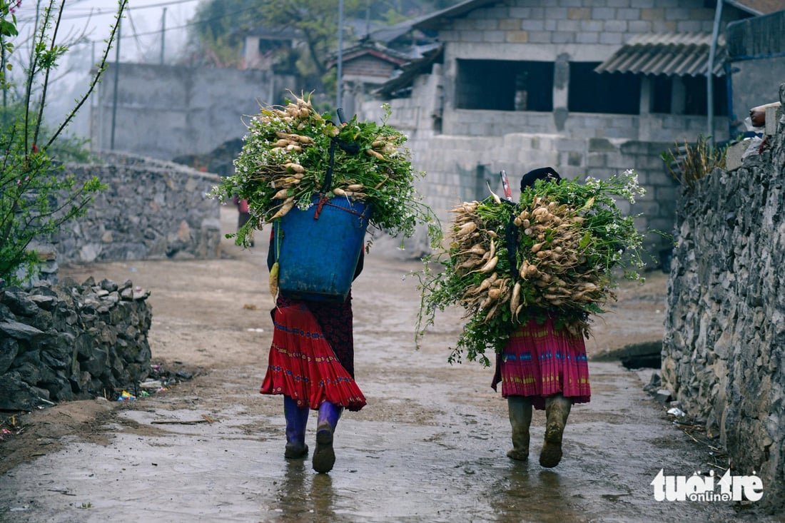 ¿Qué necesita Ha Giang para ser nominado como destino turístico líder de Asia? - Foto 2.