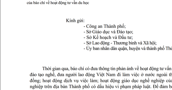 Ho Chi Minh City requires strict handling of study abroad consulting and vocational training activities that violate the law.