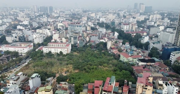 하노이의 일급 토지에 잡초가 '숲'처럼 무성하게 자라 주거 기능을 없애고 있다.