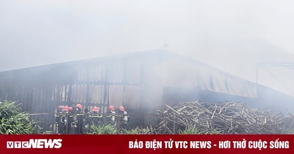 A mushroom production facility of more than 3 hectares in Lam Dong caught fire fiercely.