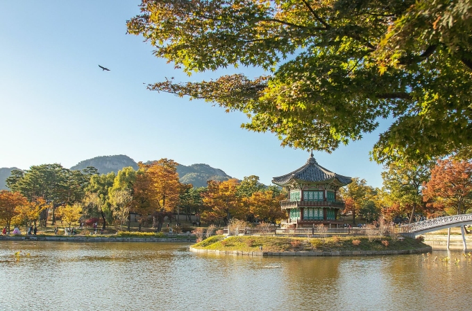 វិមាន Gyeongbokgung (ទីក្រុងសេអ៊ូល ប្រទេសកូរ៉េខាងត្បូង) ក្នុងរដូវស្លឹកឈើជ្រុះ។ រូបថត៖ INHYEOK PARK/Unsplash