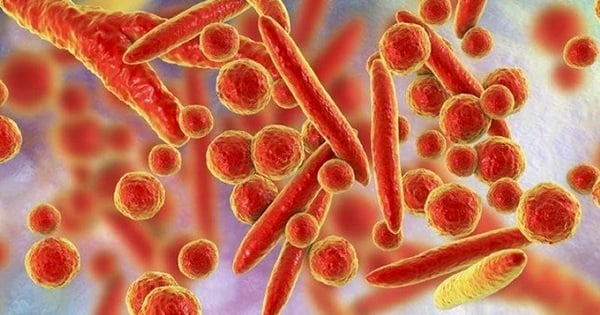 Cảnh giác với vi khuẩn mycoplasma