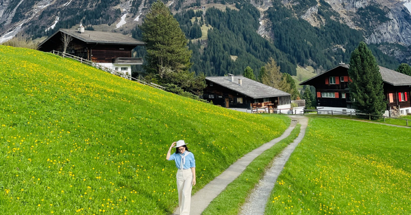 Die Schweiz in der Jahreszeit der gelben Blumen und des schmelzenden Schnees