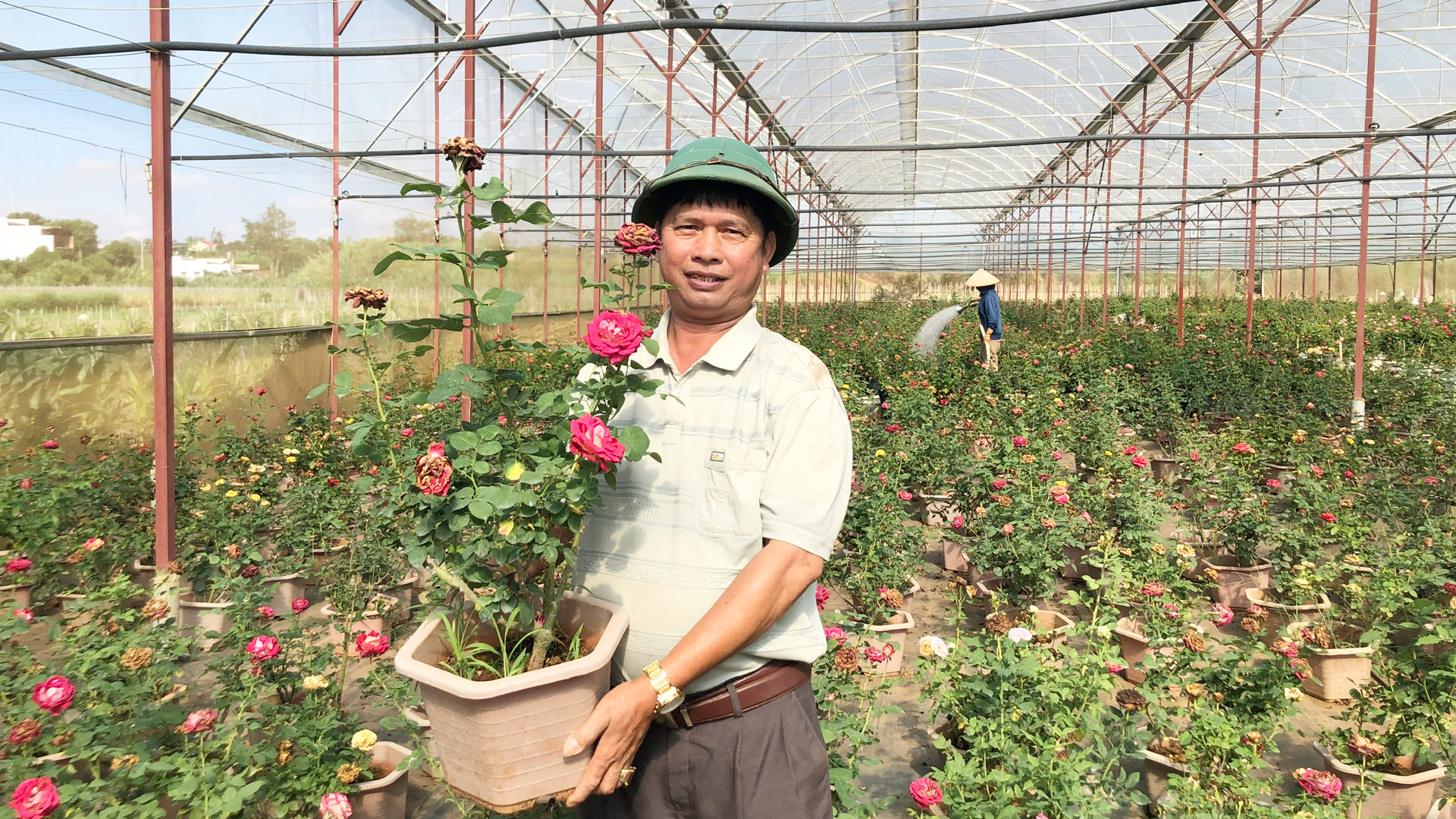 Đưa loại cây là chúa tể các loài hoa vô trồng chậu, ông nông dân Lâm Đồng này thu tiền tỷ- Ảnh 1.