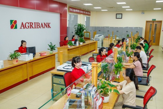 Agribank acaba de anunciar una nueva reducción del 0,5% anual en los tipos de interés de los préstamos.