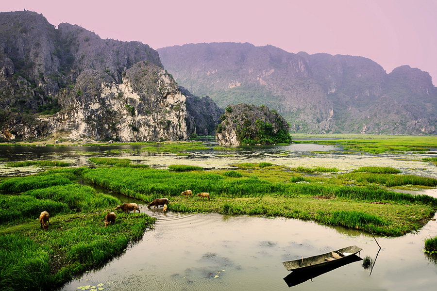 นิญบิ่ญเปิดตัวการประกวดภาพถ่ายศิลปิน 2024 รูปภาพ 2