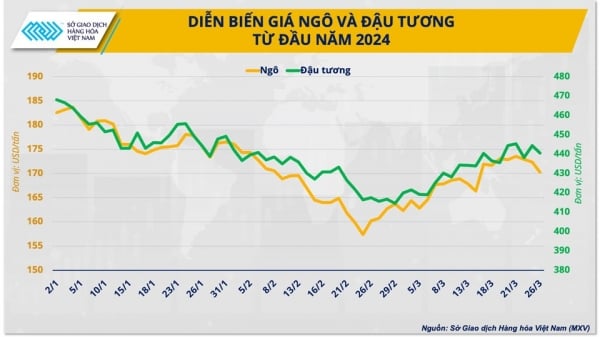 Thị trường nông sản chờ đón gì trước 2 báo cáo quan trọng của Bộ Nông nghiệp Mỹ?