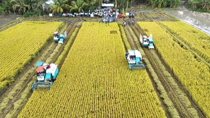 Make 1 million hectares of high quality rice