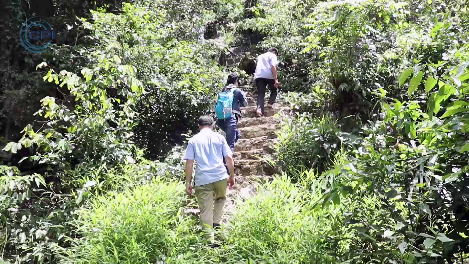 1 day wandering through Nhuoi forest, Hoa Binh