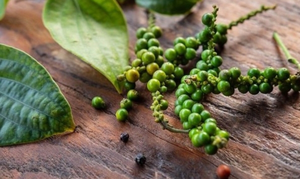 Black pepper prices in the domestic market increased for 4 consecutive weeks