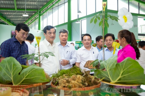 Join hands to soon establish the Vietnam Ginseng Production Association