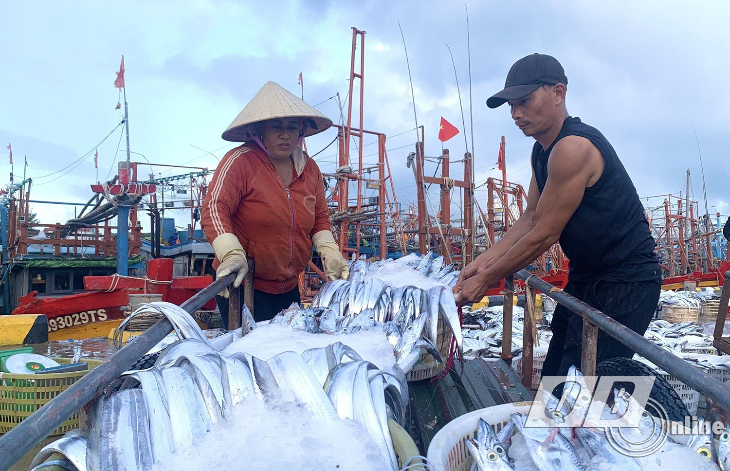 Les commerçants achètent des hameçons aux pêcheurs de Canh Duong.