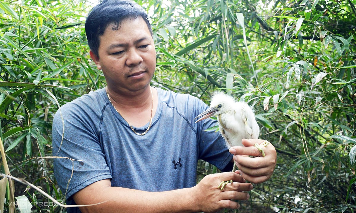 Gia đình hai thế hệ cưu mang chim trời