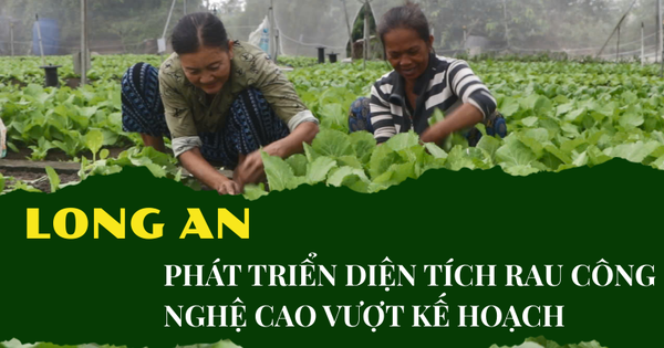 Tỉnh Long An phát triển vượt kế hoạch diện tích trồng rau công nghệ cao