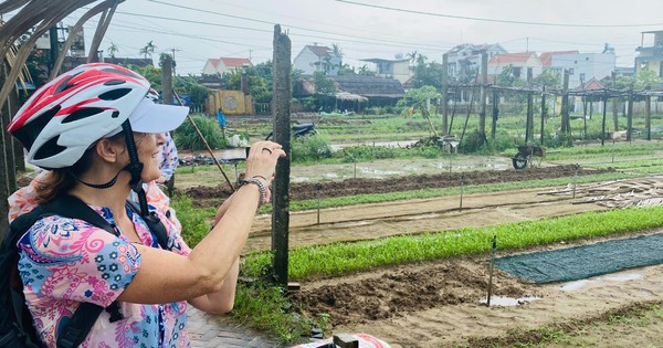 Có gì hấp dẫn ở Trà Quế (Quảng Nam)