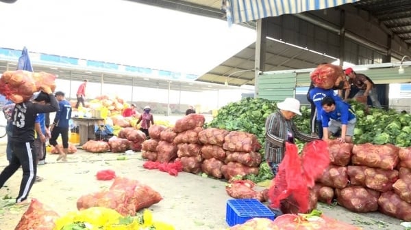 Grenztore: Wirtschaftsverbindung zwischen Vietnam und Kambodscha