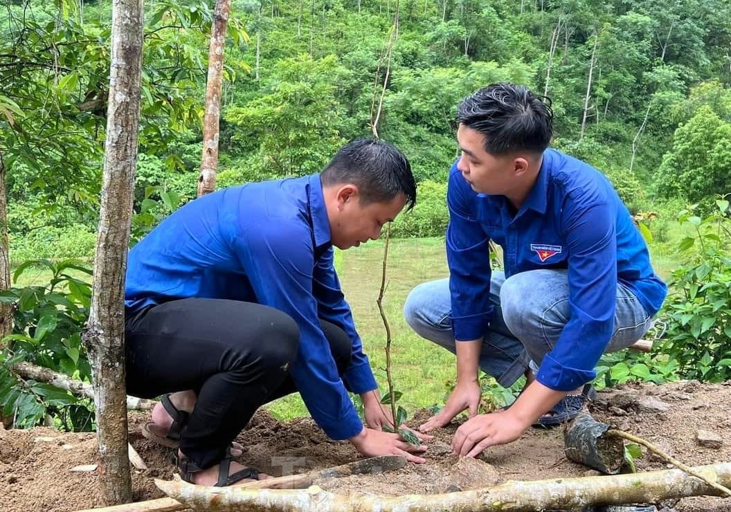 Des chiffres et des images impressionnants de jeunes de Nghe An lançant la campagne de bénévolat d'été, photo 12