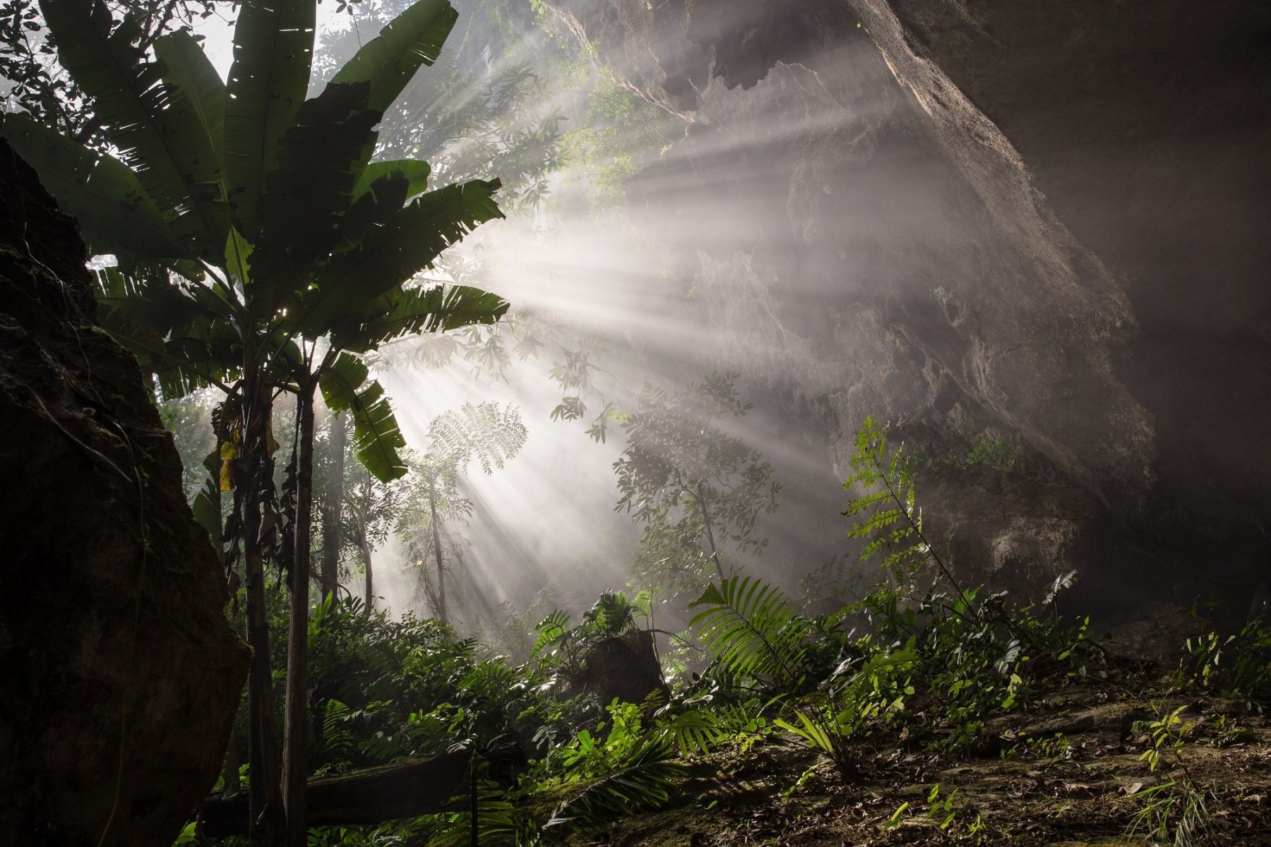 British tourist tells about his experience sleeping overnight in the world's largest cave in Vietnam