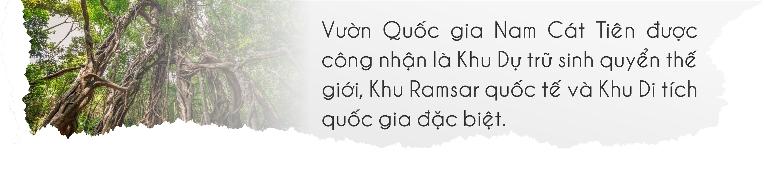 Mùa hè vào Vườn Quốc gia Nam Cát Tiên ngắm thú đêm, xem bướm- Ảnh 2.