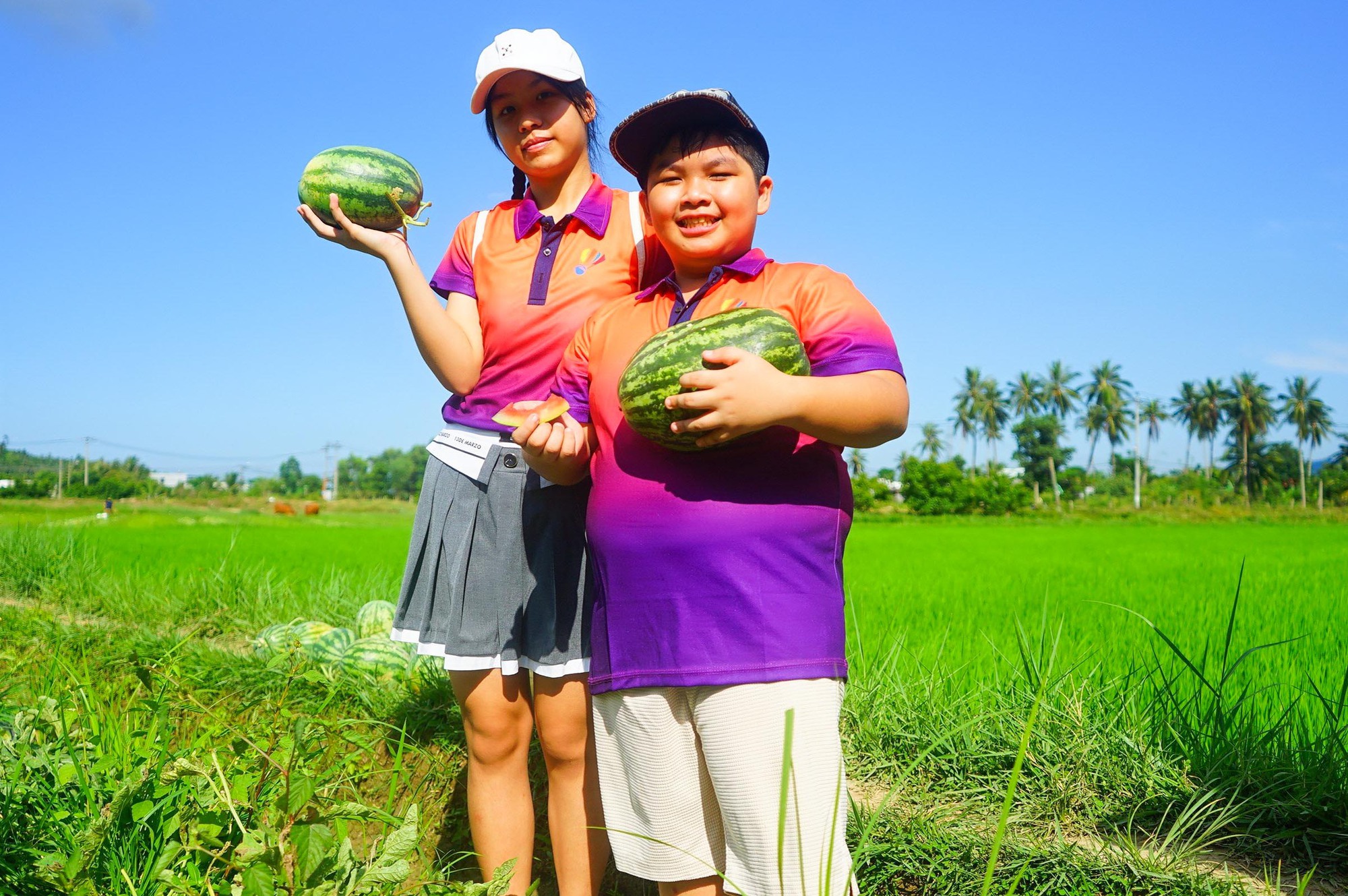 Du khách "bỏ phố về quê" trải nghiệm hái dưa hấu dưới chân núi - Ảnh 3.