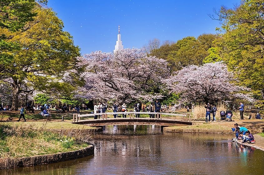 Lễ hội Phở Việt Nam 2023 tại Tokyo: Đưa phong vị Việt đi xa hơn