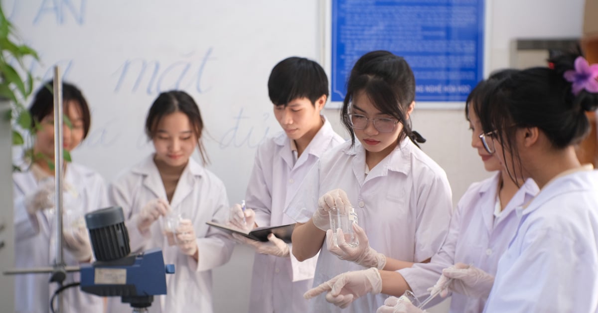 Students make facial foam from papaya leaves, receive investment of 300 million VND