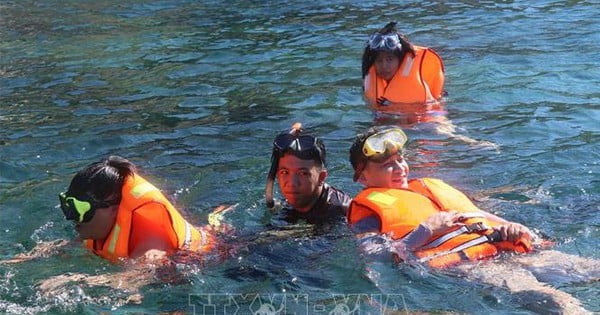 Cu Lao Cham Island, 15km from the mainland of Quang Nam, is full of corals - wild animals sitting still.