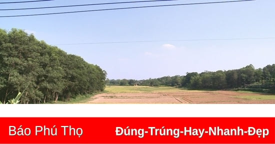 Nguy cơ hạn hán, thiếu nước sản xuất