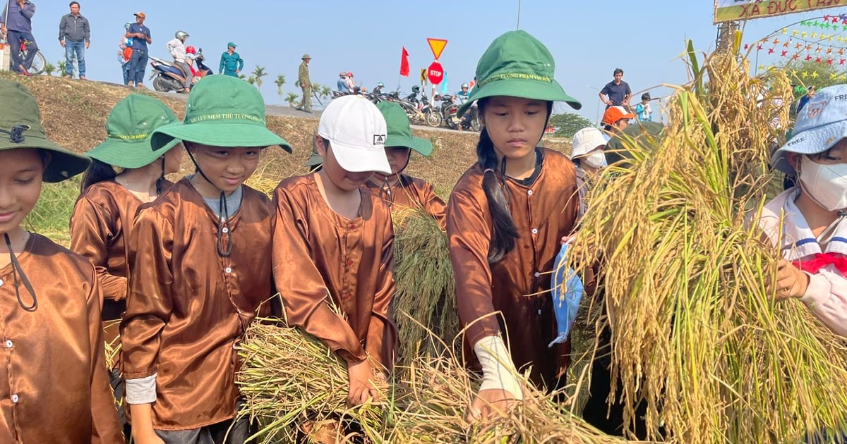 Mộ Đức phát triển du lịch nông nghiệp tạo hiệu quả kinh tế kép