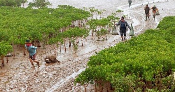 Học sinh tử vong khi đi dã ngoại, sở GD-ĐT yêu cầu không tổ chức tự phát