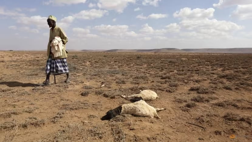 El Niño schwächt sich ab, hält die Temperaturen aber hoch Bild 1