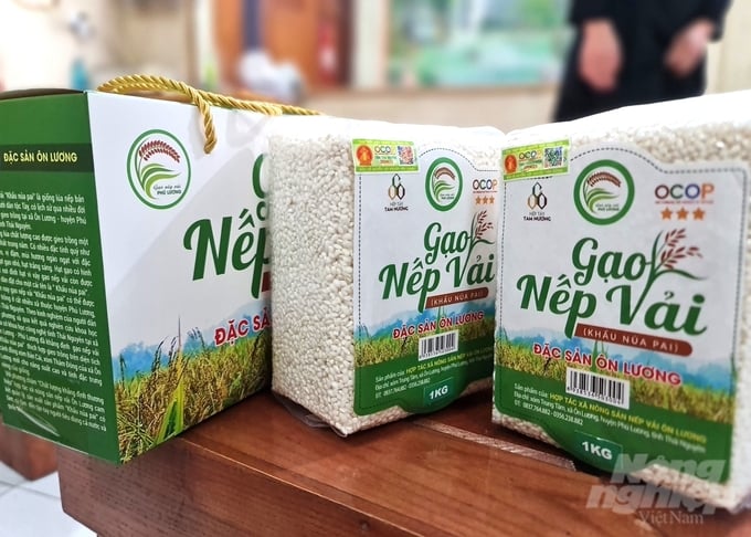 Nếp vải Ôn Lương - loại gạo nếp đặc sản nổi tiếng của huyện Phú Lương và cả tỉnh Thái Nguyên. Ảnh: Đào Thanh.