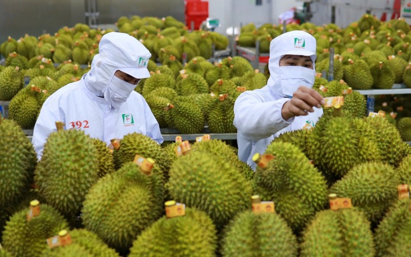 มูลค่าการค้าระหว่างเวียดนามและจีนพุ่งเกิน 120,000 ล้านเหรียญสหรัฐฯ ต่อเนื่อง