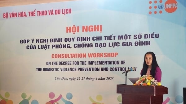 Lấy ý kiến góp ý nhằm hoàn thiện khung pháp lý cho một số điều của Luật Phòng, chống bạo lực gia đình