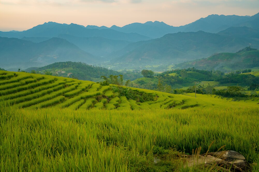 Mr. Phan Thanh Canh (31 years old, living in Ha Long City) said that he and his family have a habit of traveling to Binh Lieu every year, depending on the time allowed to stay for more or less days. Photo: NVCC