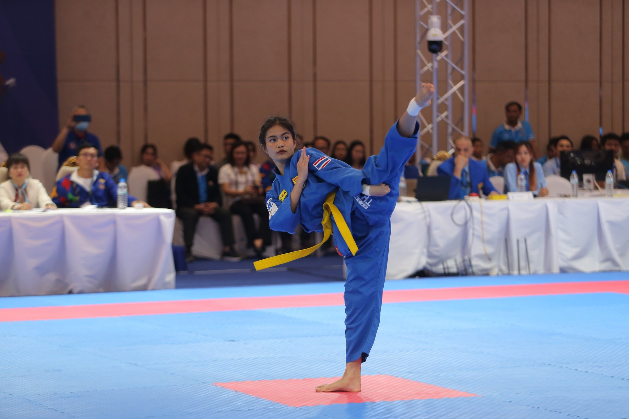 Vovinam sẽ phát triển theo chuẩn Olympic - Ảnh 3.