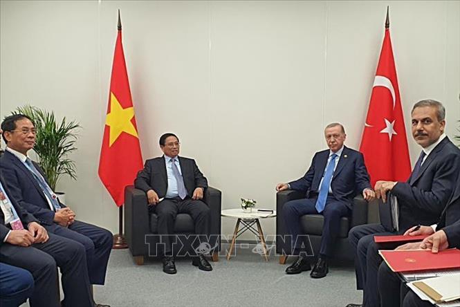 Prime Minister Pham Minh Chinh meets Turkish President Recep Tayyip Erdogan