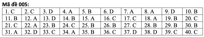 Respuestas del examen de inglés de décimo grado en Hanoi - 4