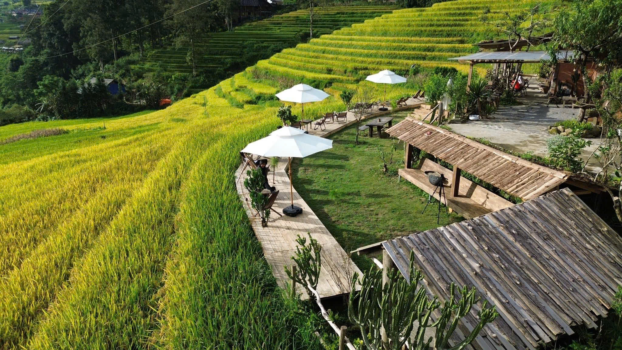 Couple rents nearly 800m2 of land in Sapa, renovates abandoned house into "healing" spot