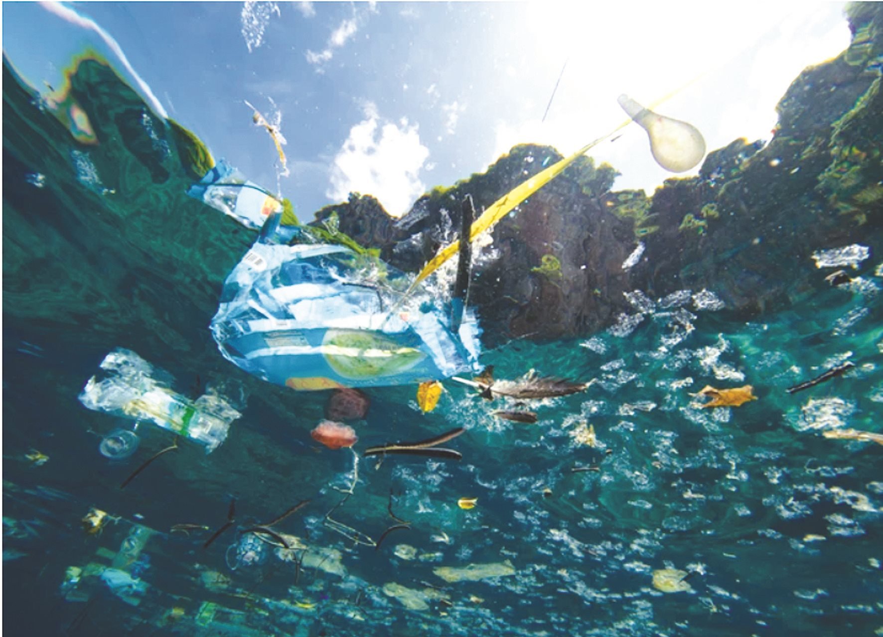 Maßnahmen gegen Plastikmüll in den Ozeanen